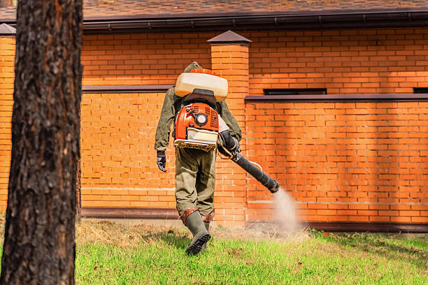 Trusted Rodent Control service in East Petersburg, PA - Nex Pest Control